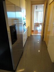 Cairnhill Crest (D9), Condominium #482280671